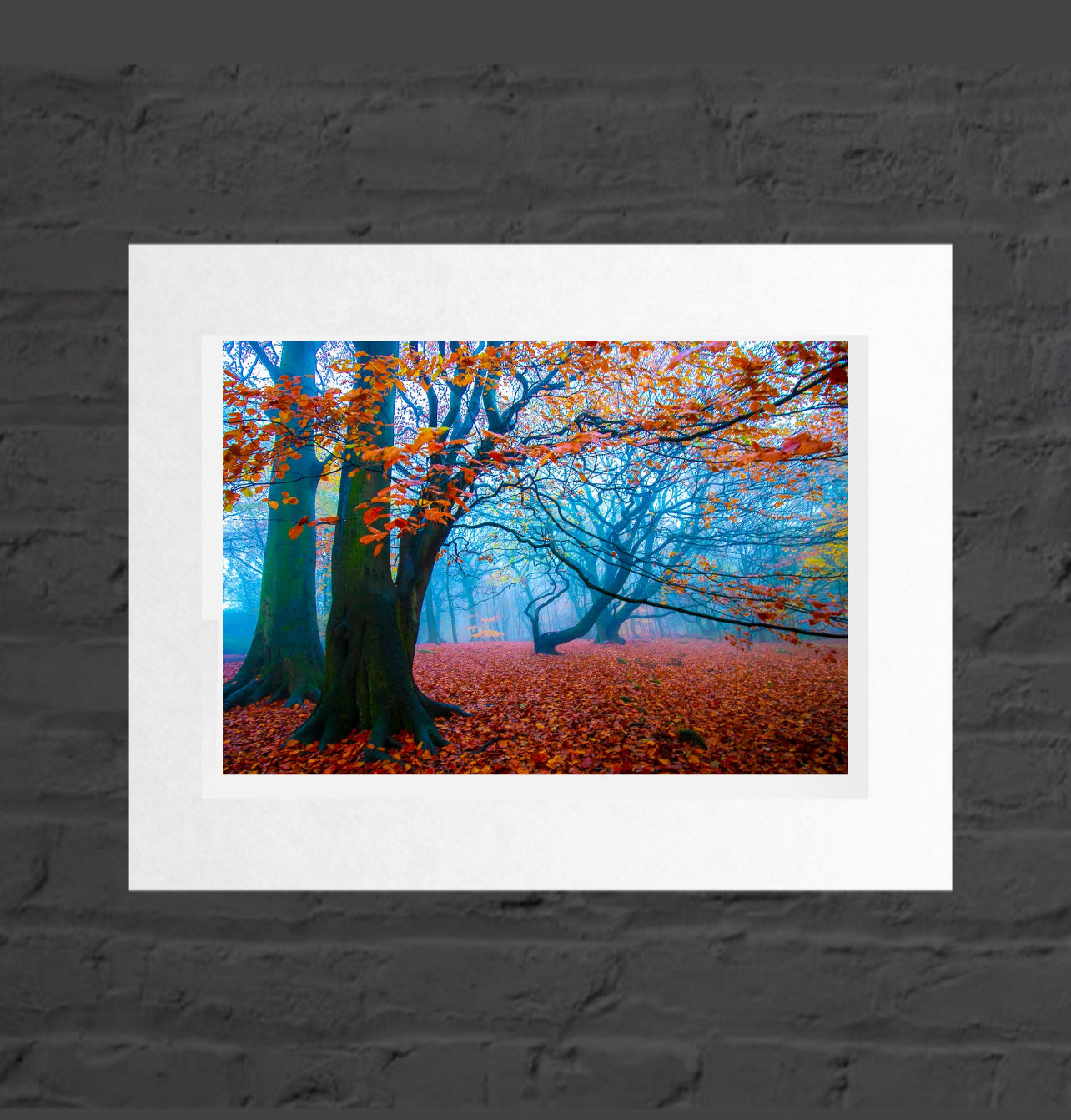 Golden Acre Autumn Mist