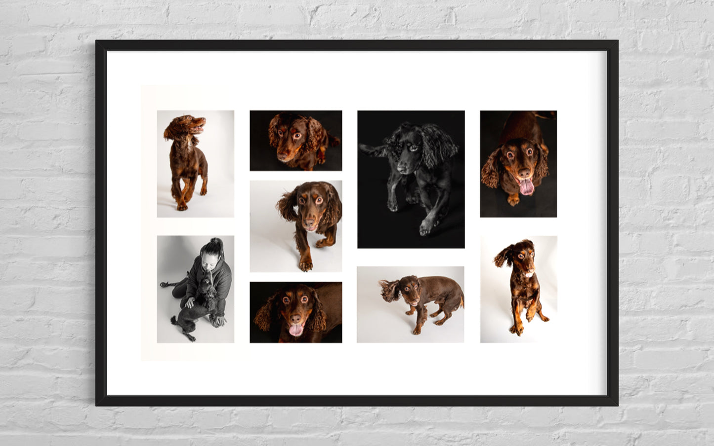 Pet Portrait Deluxe Package