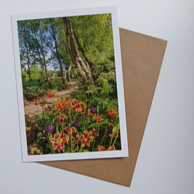 Summer Trees, Crag House Farm art card