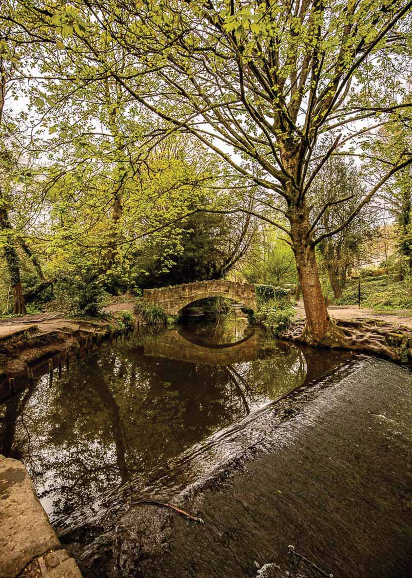 Meanwood Stone Bridge Reflection