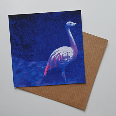 Flamingo Art card