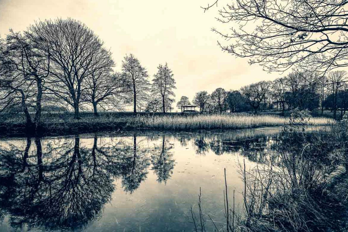 Roundhay Park Mansion Lake Blue