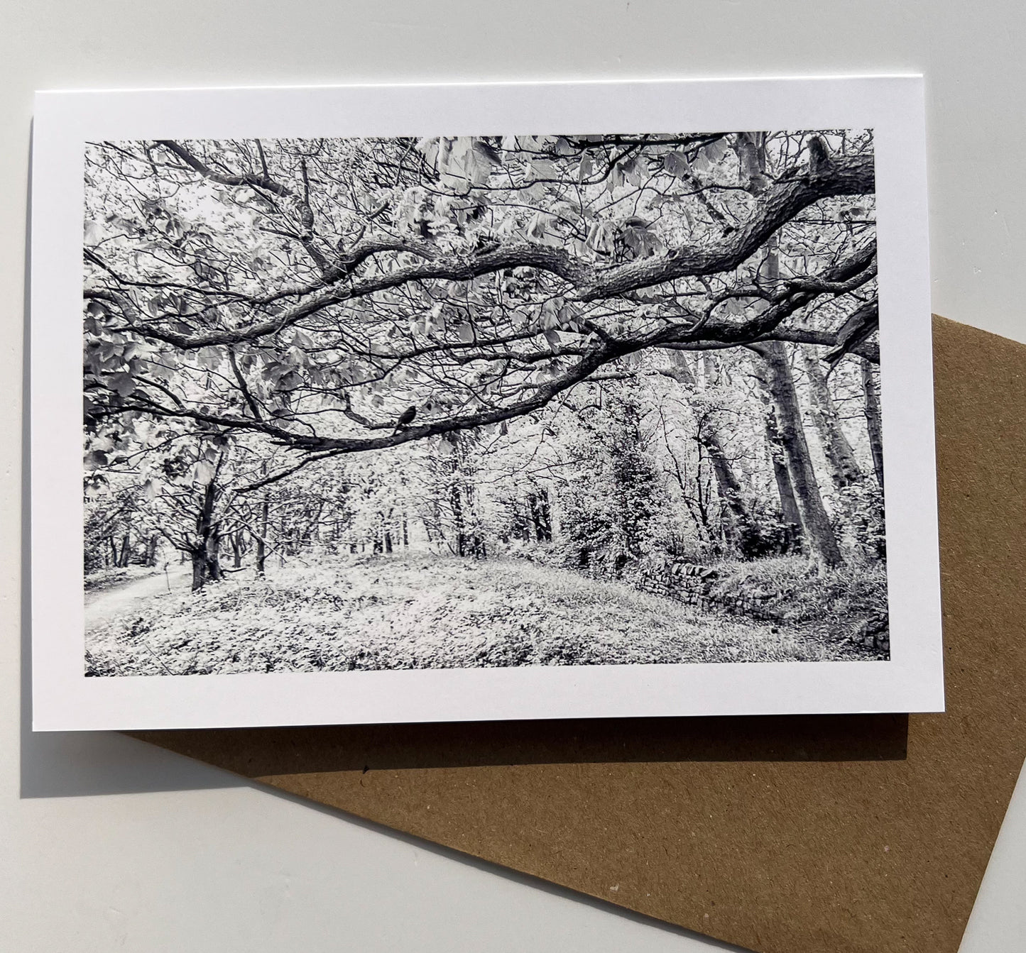 Hunger Hills Woods, Horsforth art card| RJ Heald Photography