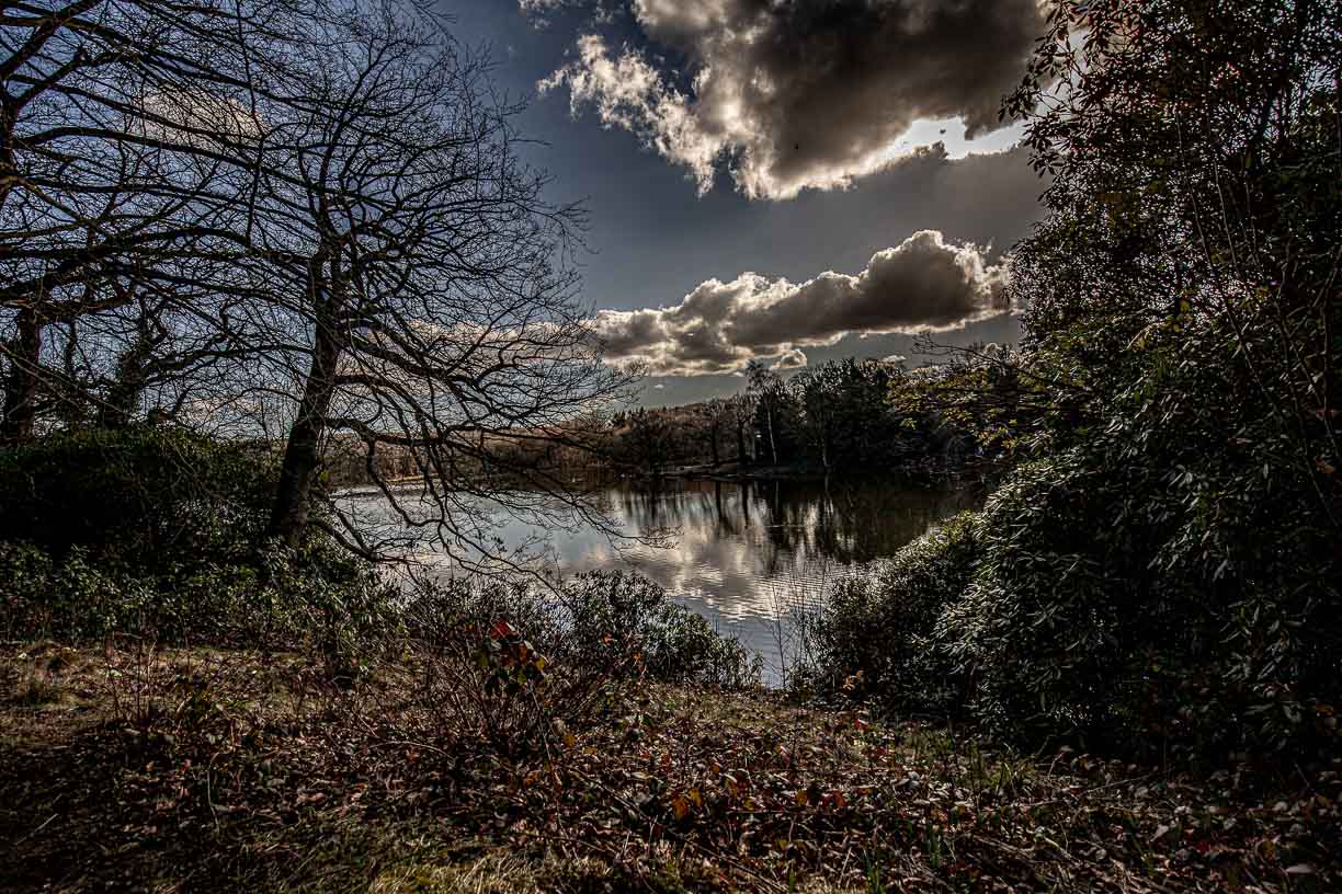 Harewood Lake Reflection