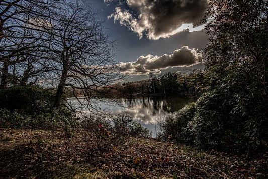 Harewood Lake Reflection