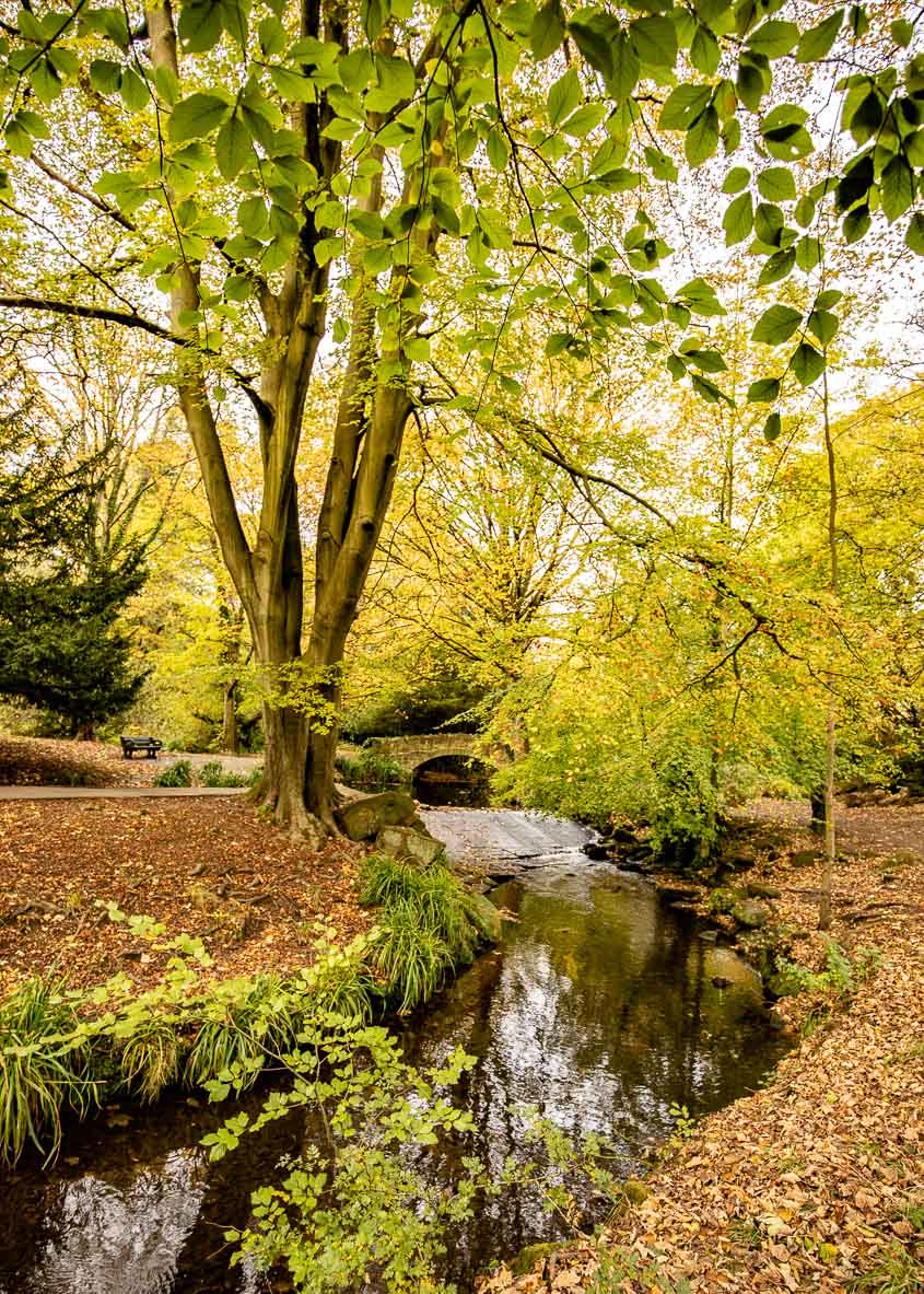 Meanwood Bridge Autumn