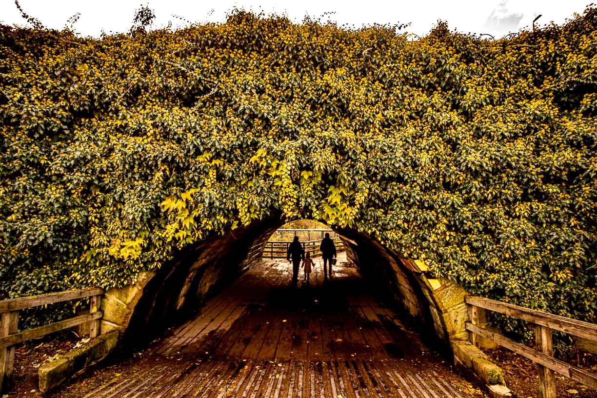 Underpass, Golden Acre park, Leeds