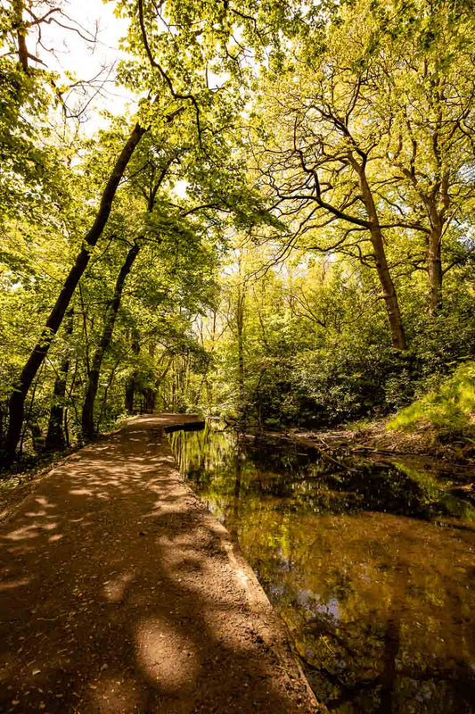 Meanwood Valley Trail