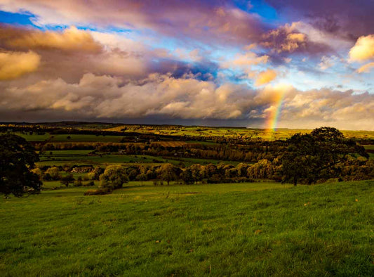 Otley Rainbow