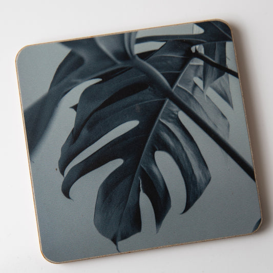 Monstera Grey coaster