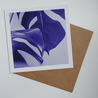 Monstera Purple Art card