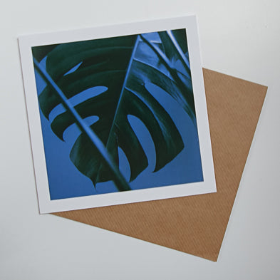 Monstera Art card