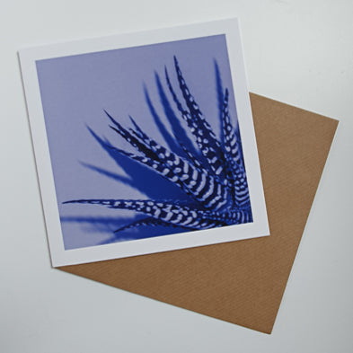 Zebra Aloe Blue art card