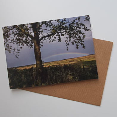 Holkham Rainbow Tree art card