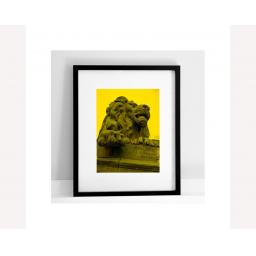 Salts Lion Yellow print