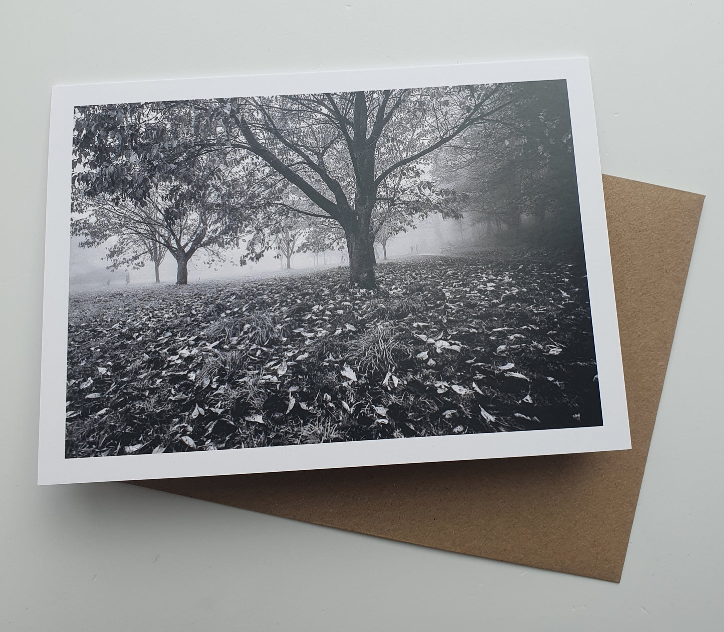 Golden Acre park Autumn mist mono art card
