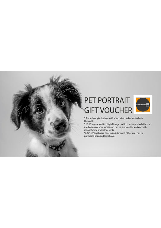 Pet Portrait Gift Voucher