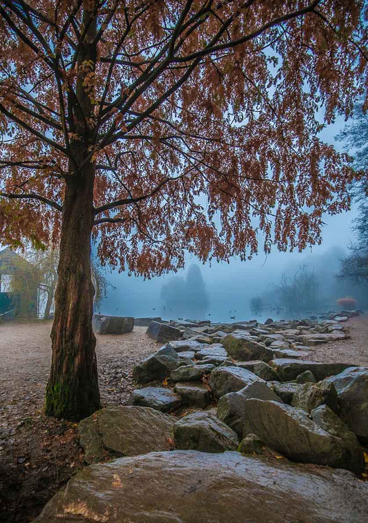 Golden Acre Autumn Lake
