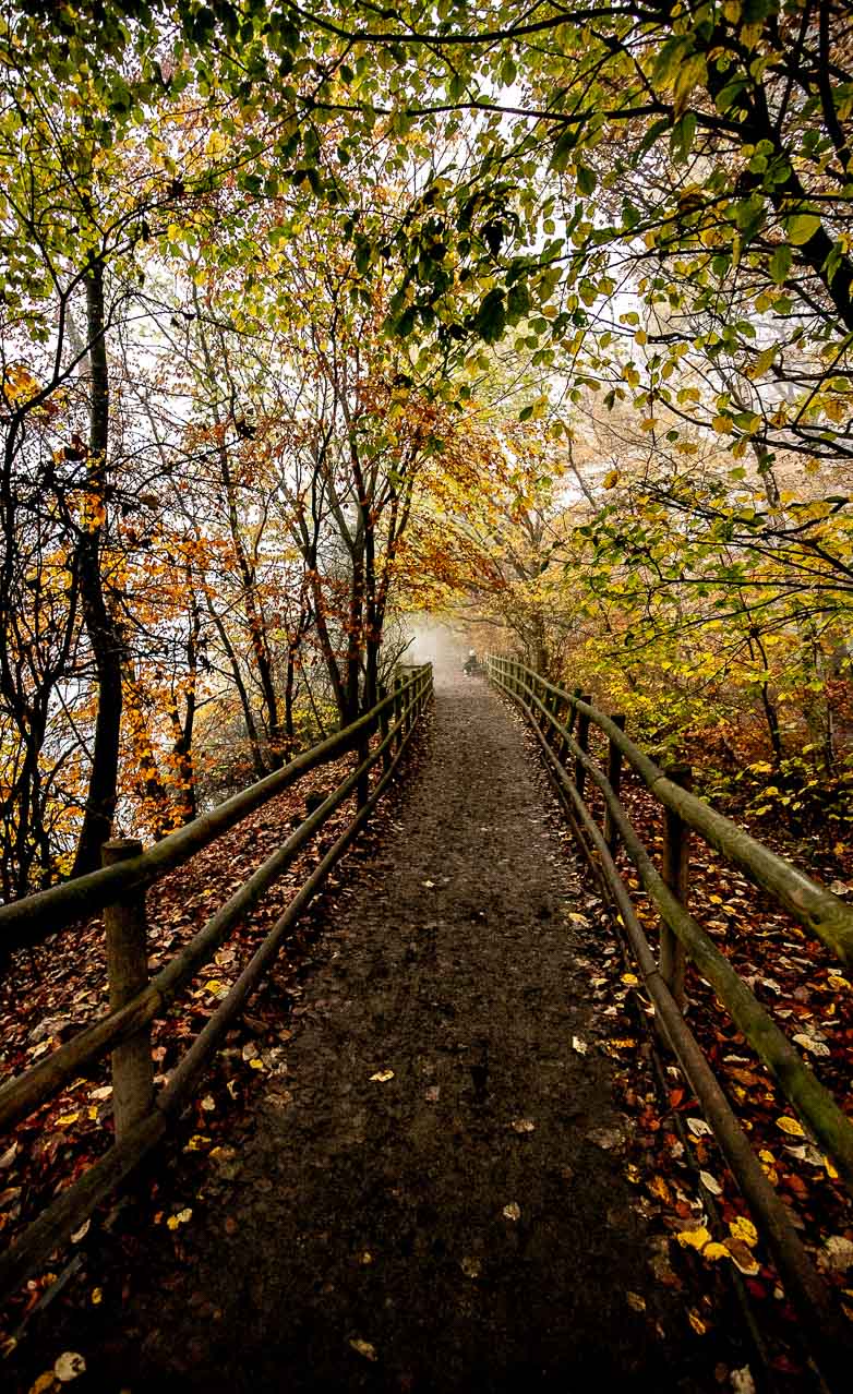 Golden Acre path