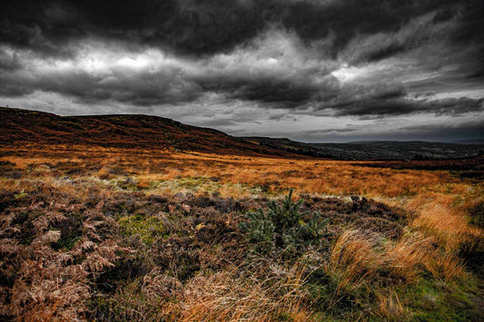 Ilkley Moor