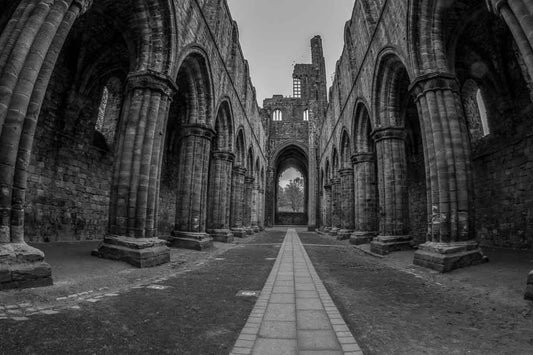 Kirkstall Abbey print