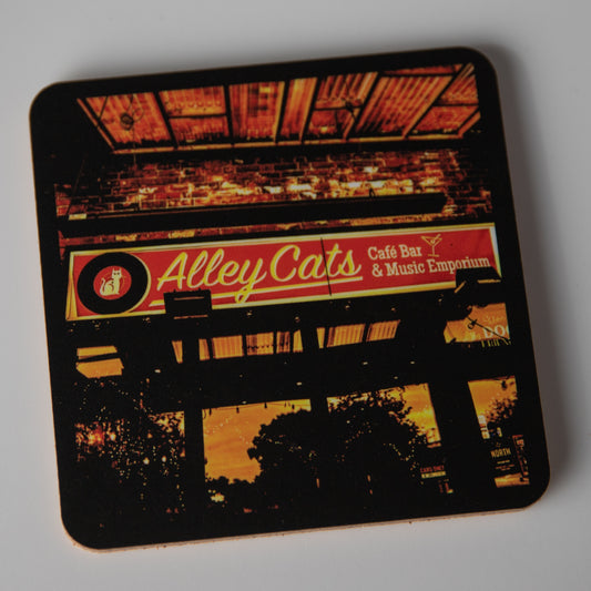 Alley cats coaster