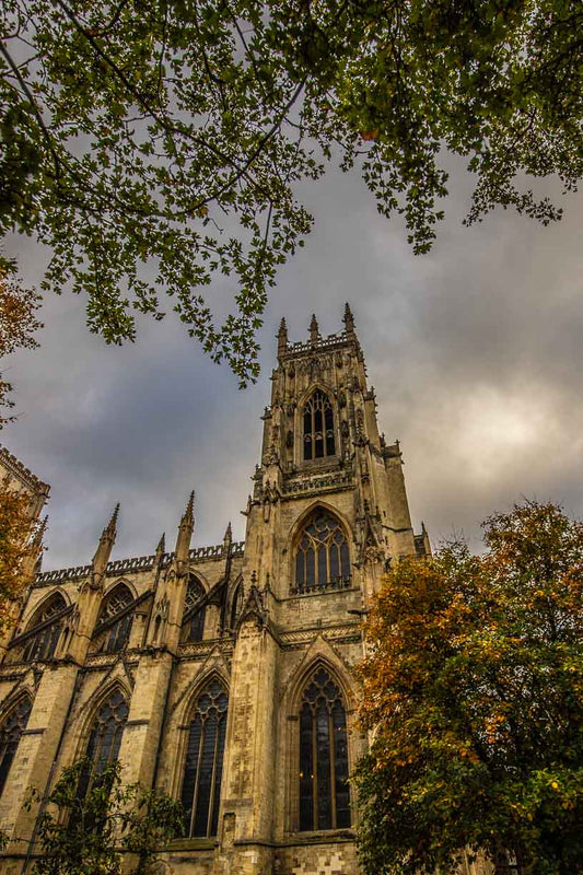 York Minster Autumn Leaves