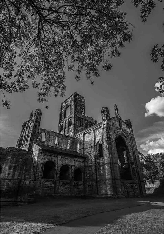 Kirkstall Abbey Leaves