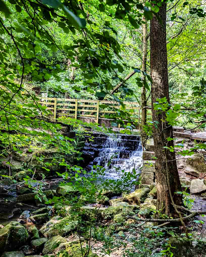 Meanwood Waterfall