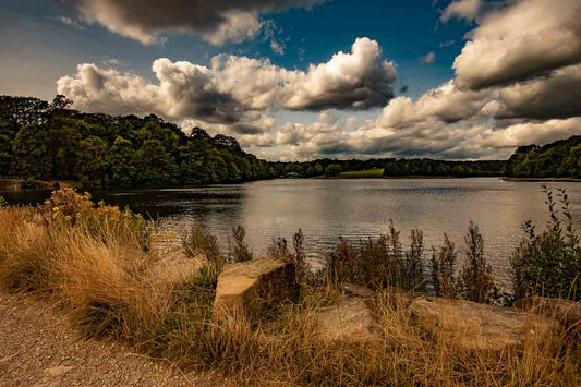 Lakeside cafe view - Roundhay Park