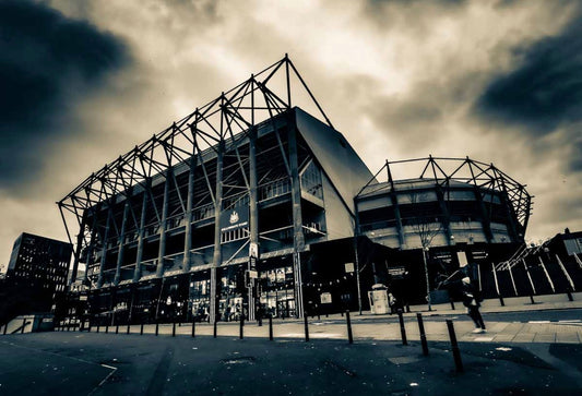 St James Park, Newcastle print