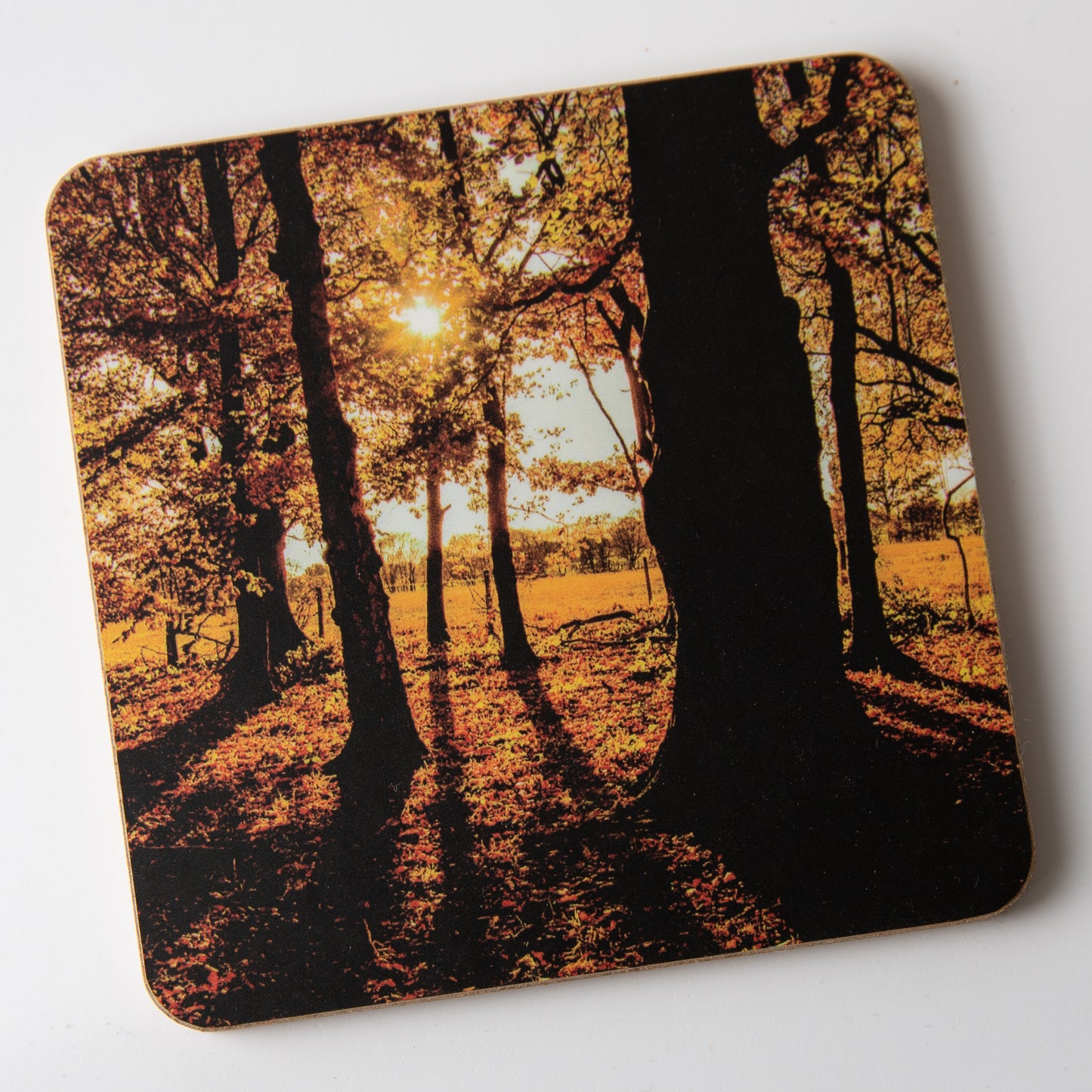 Golden Acre Autumn Trees coaster