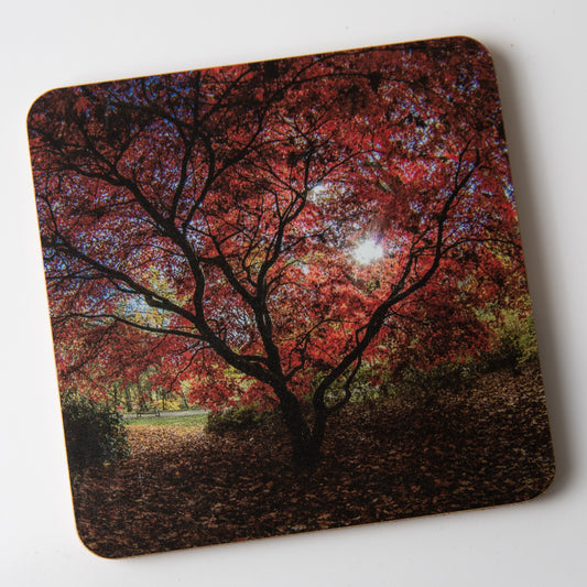 Golden Acre Red Tree coaster