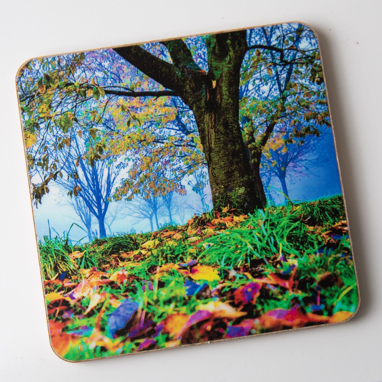 Golden Acre Colour Leaves coaster