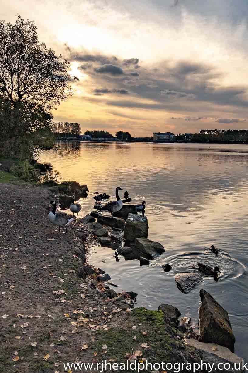 Yeadon Tarn