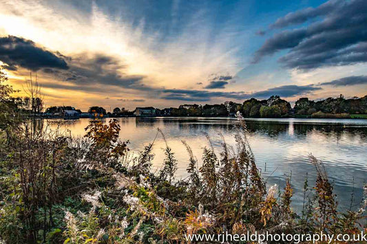 Yeadon Tarn Landscape