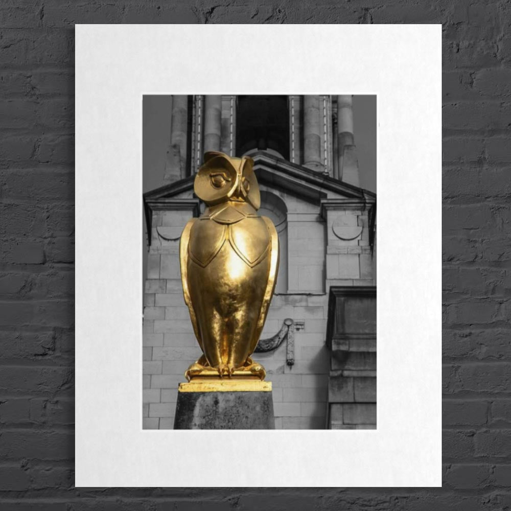 Leeds City Owl - Mixed print