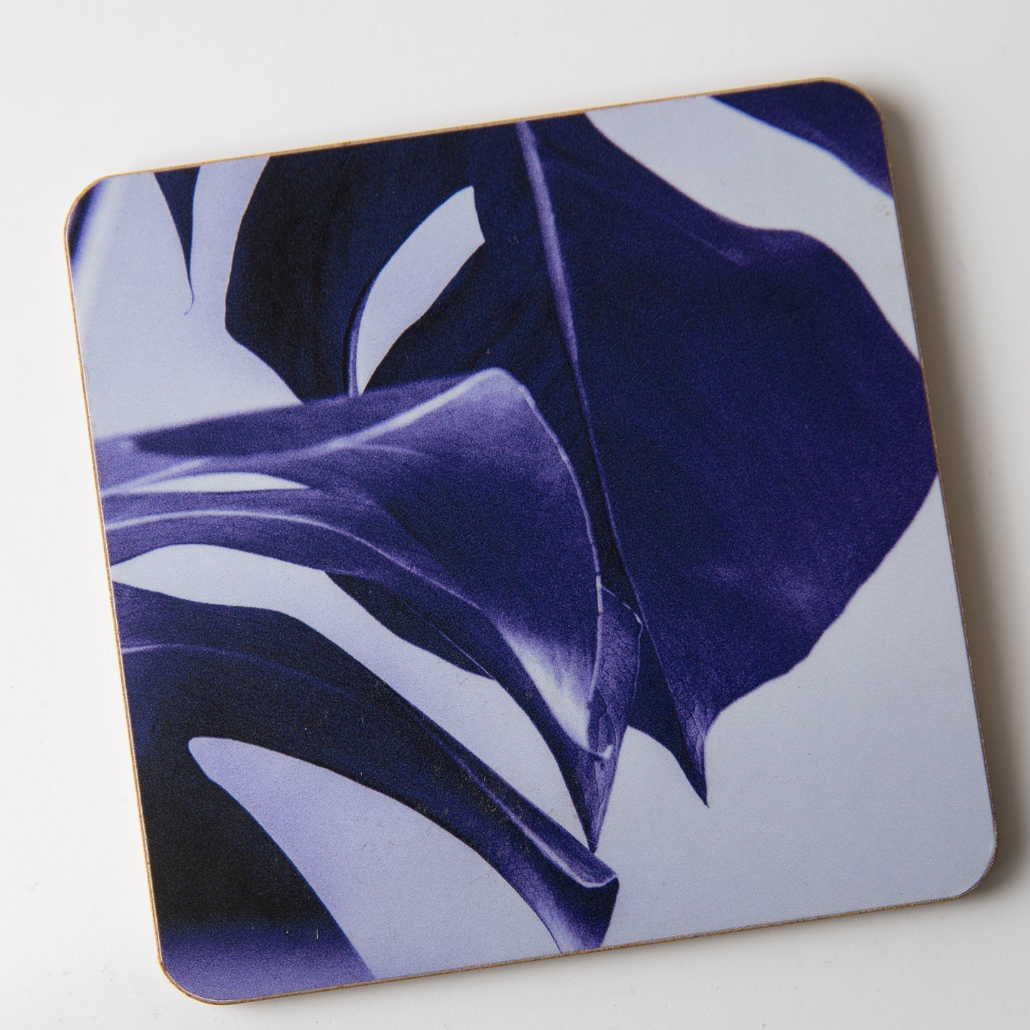 Monstera Purple coaster