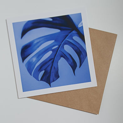 Monstera Blue Art card