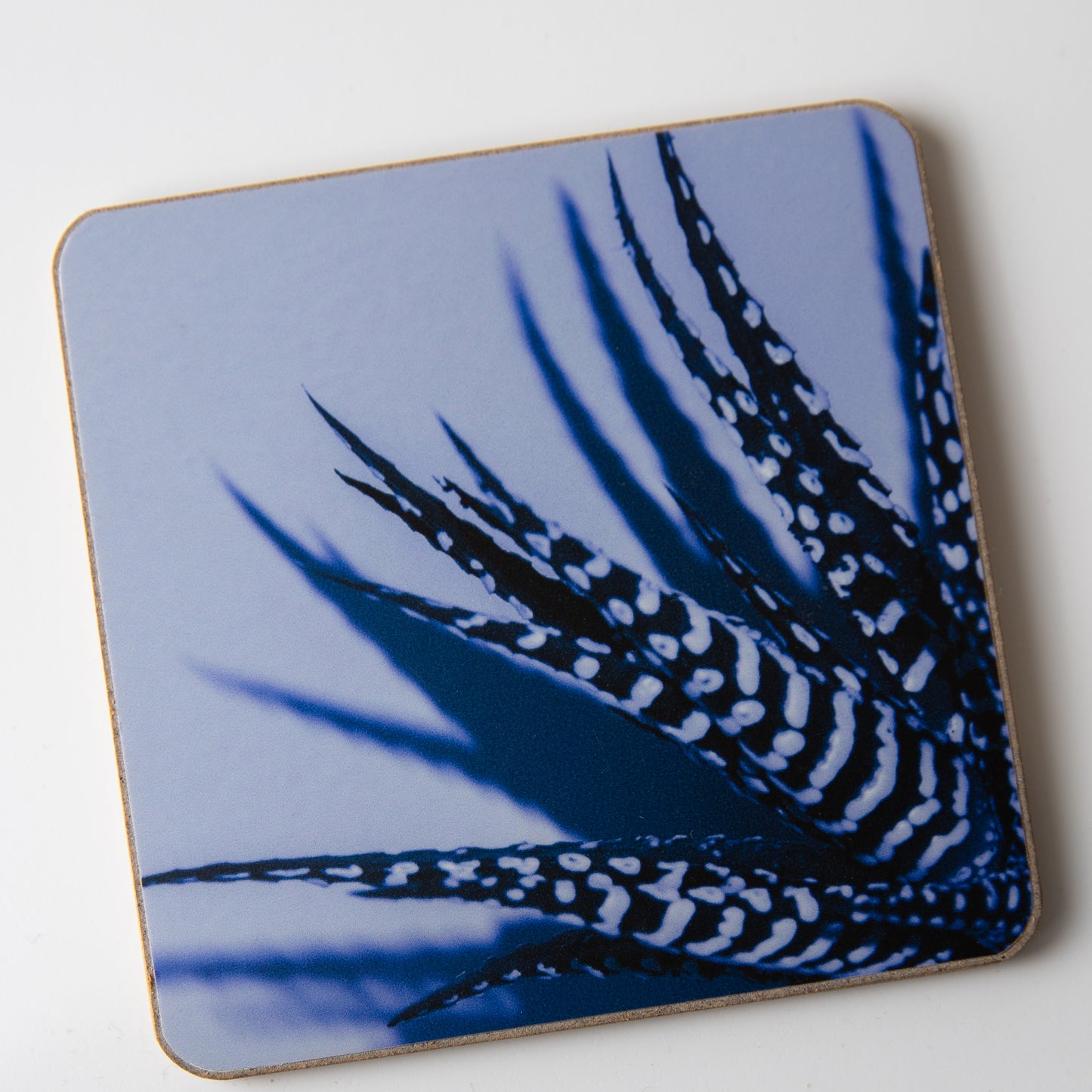 Zebra Aloe Blue coaster