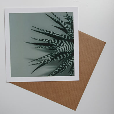 Zebra Aloe Green art card