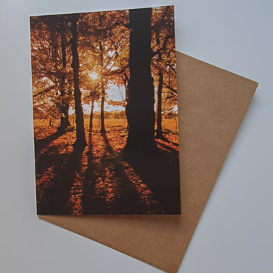 Golden Acre Autumn trees art card