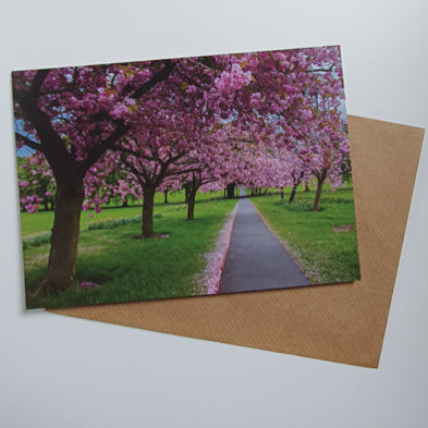 Harrogate Blossom art card