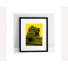 Load image into Gallery viewer, Salts Lion Yellow print
