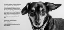 Load image into Gallery viewer, Pet Portrait Gift Voucher
