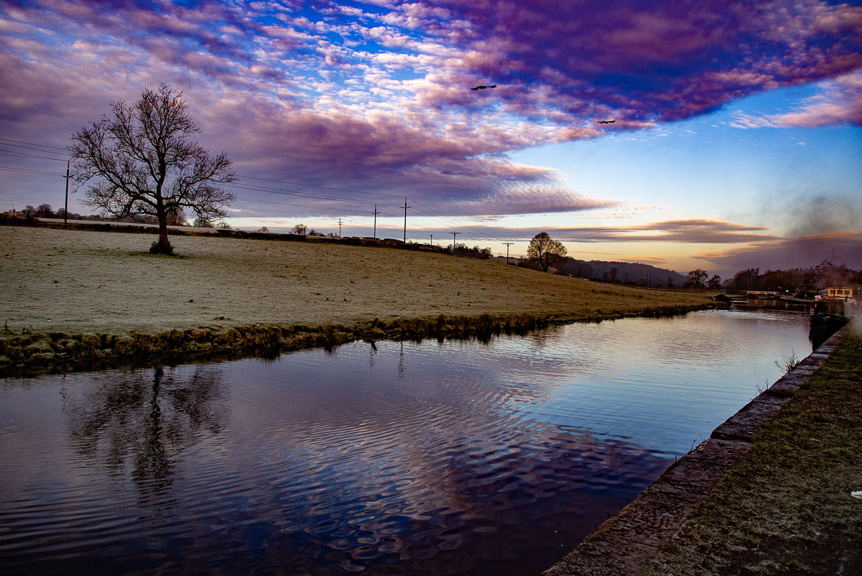 Rodley Canal Reflection